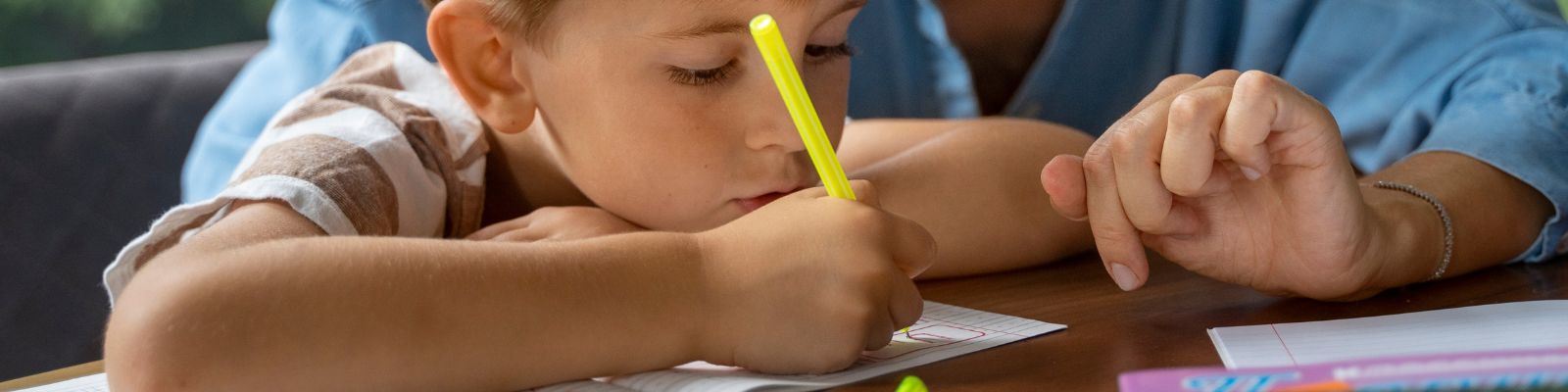 Apoyo escolar a domicilio